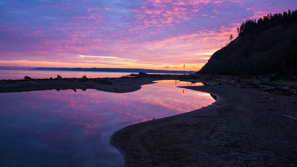 Double Bluff Beach and Dog Park