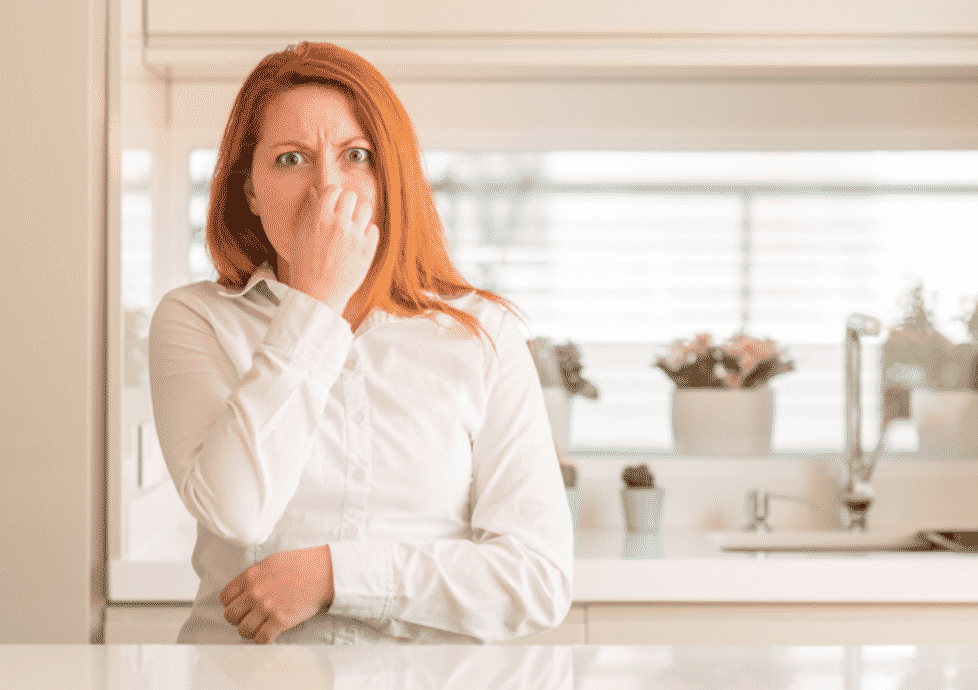 Learn How Get Rid of Bad Odor in your House Cascade Maids
