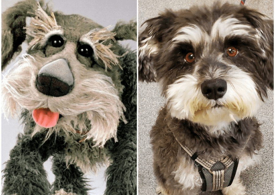 Casco Bay Veterinary Hospital Gallery Vet In Portland, ME