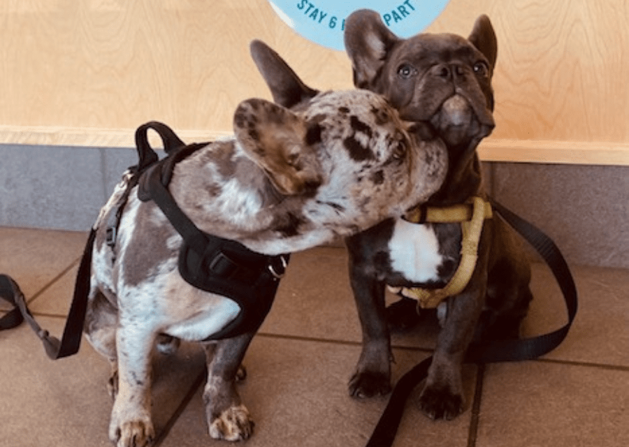 Casco Bay Veterinary Hospital Gallery Vet In Portland, ME