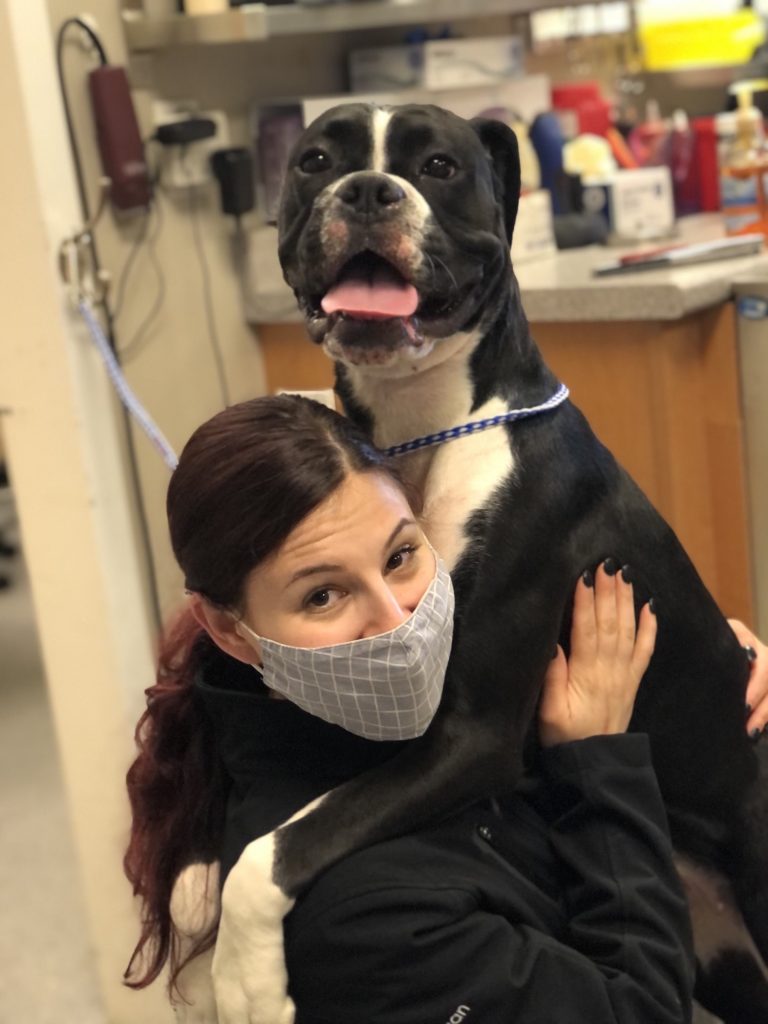 About Casco Bay Veterinary Hospital Vet In Portland, ME