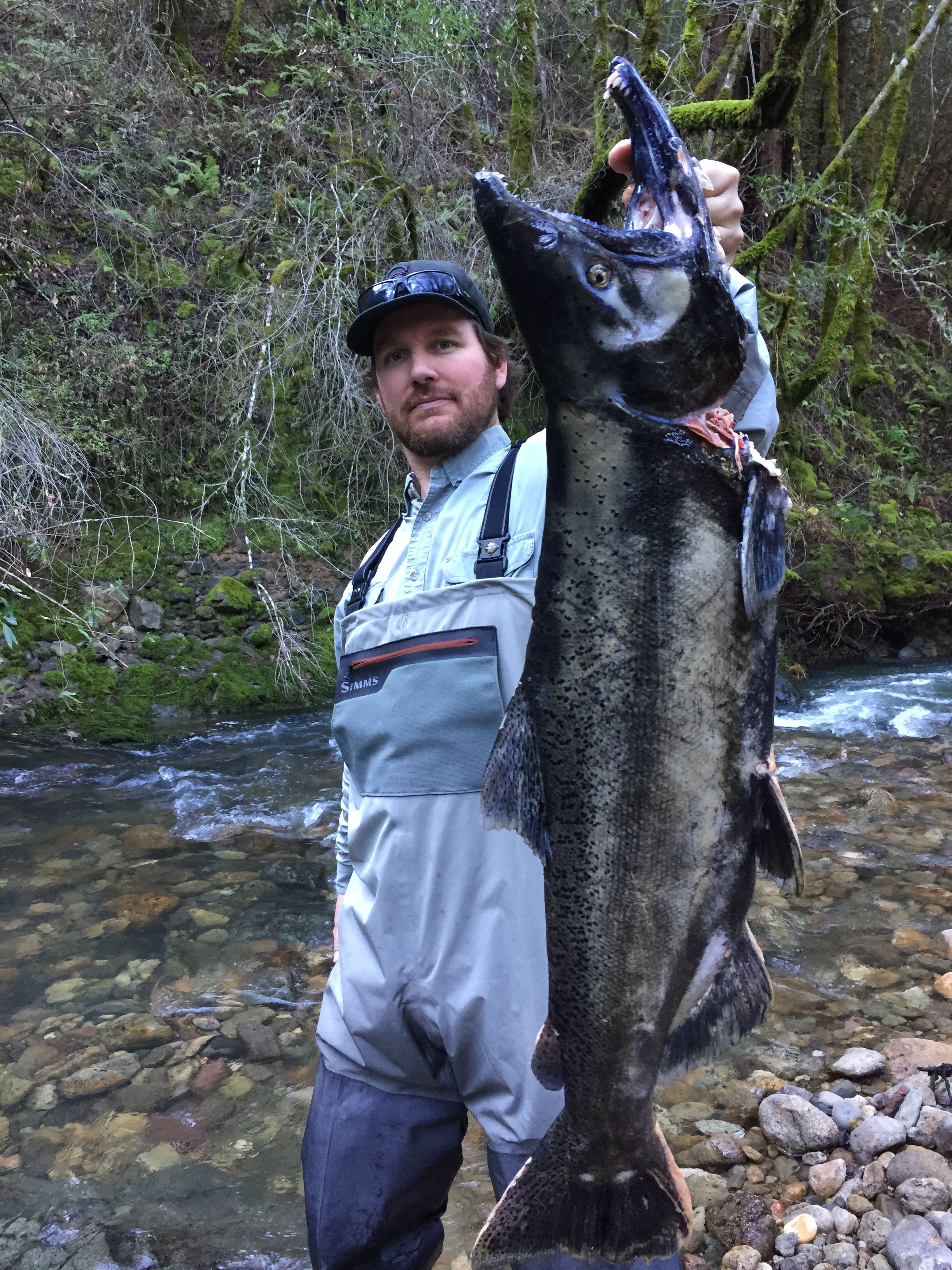 Russian River Fishing Report 2019 California All About Fishing