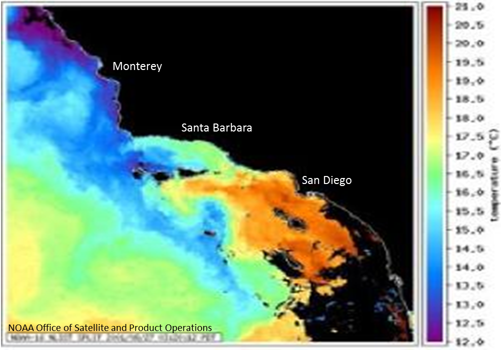 The ocean environment California Sea Grant