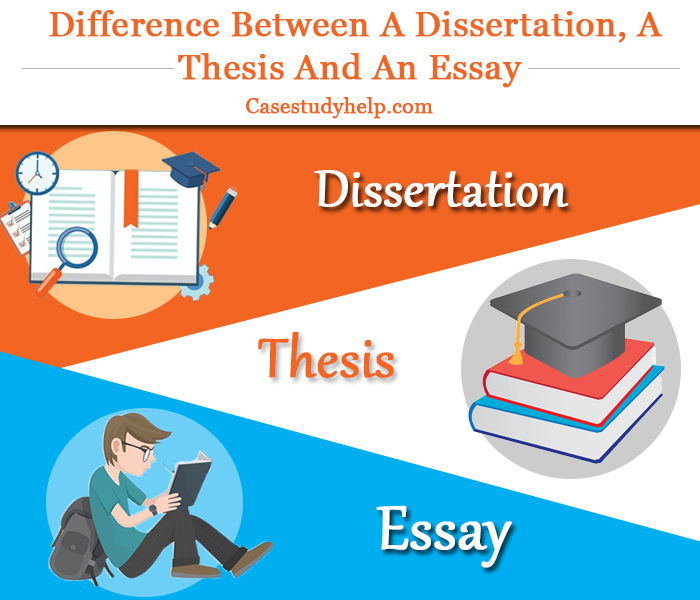 What are the Difference between Dissertation, Thesis and Essay? Essay