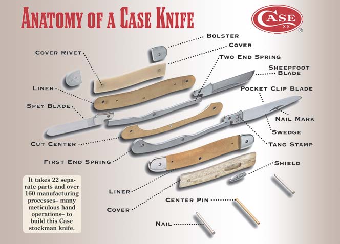 Anatomy of a Case Knife