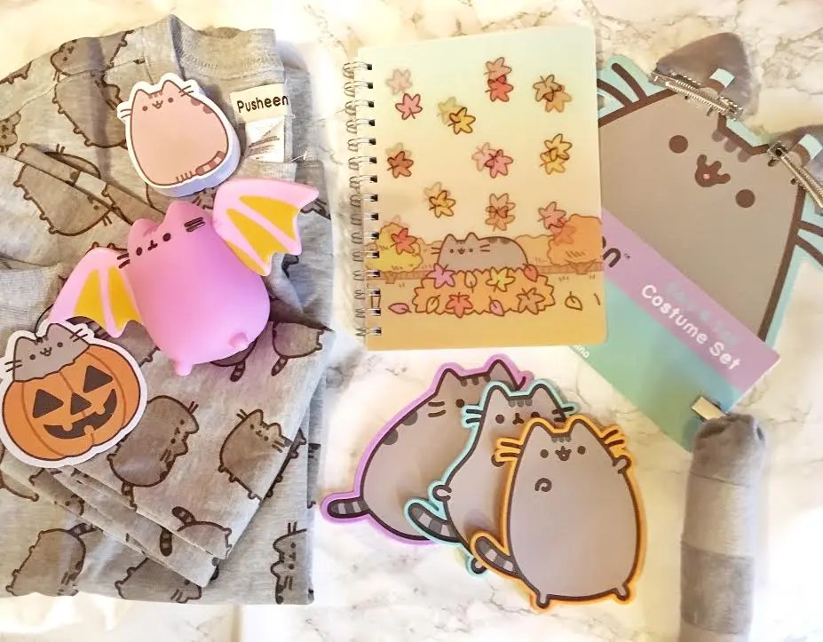 fall pusheen box 2023 Pusheen Box Unboxing Fall Edition Casey La Vie