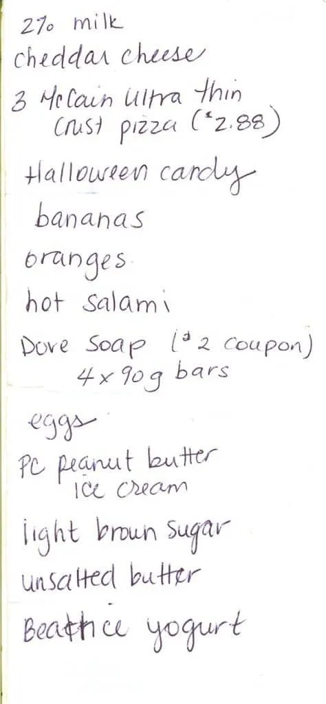 Grocery Shopping — Second Trip (back)