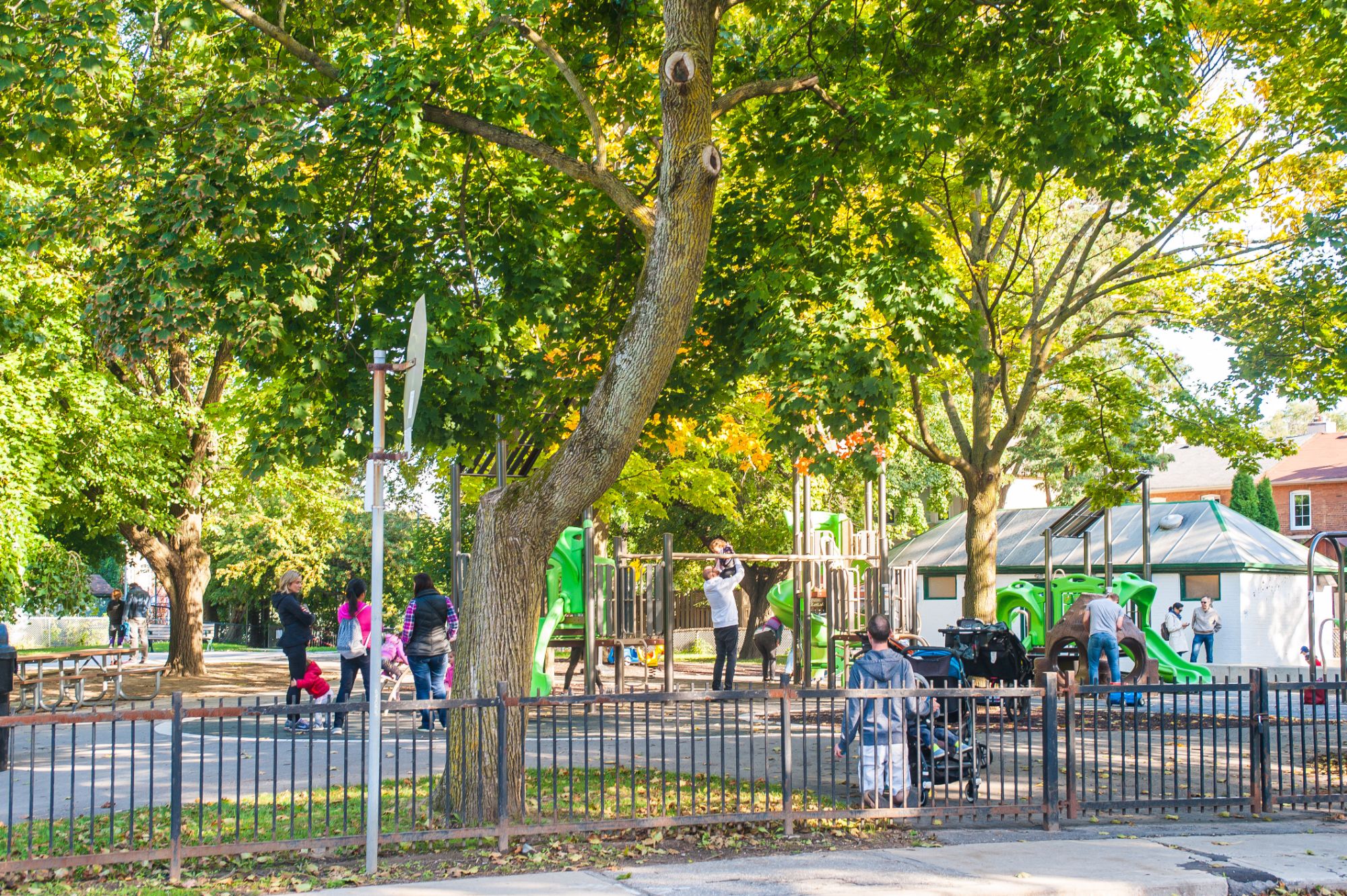 Bedford Park Casey Ragan Toronto’s Luxury Real Estate Authority