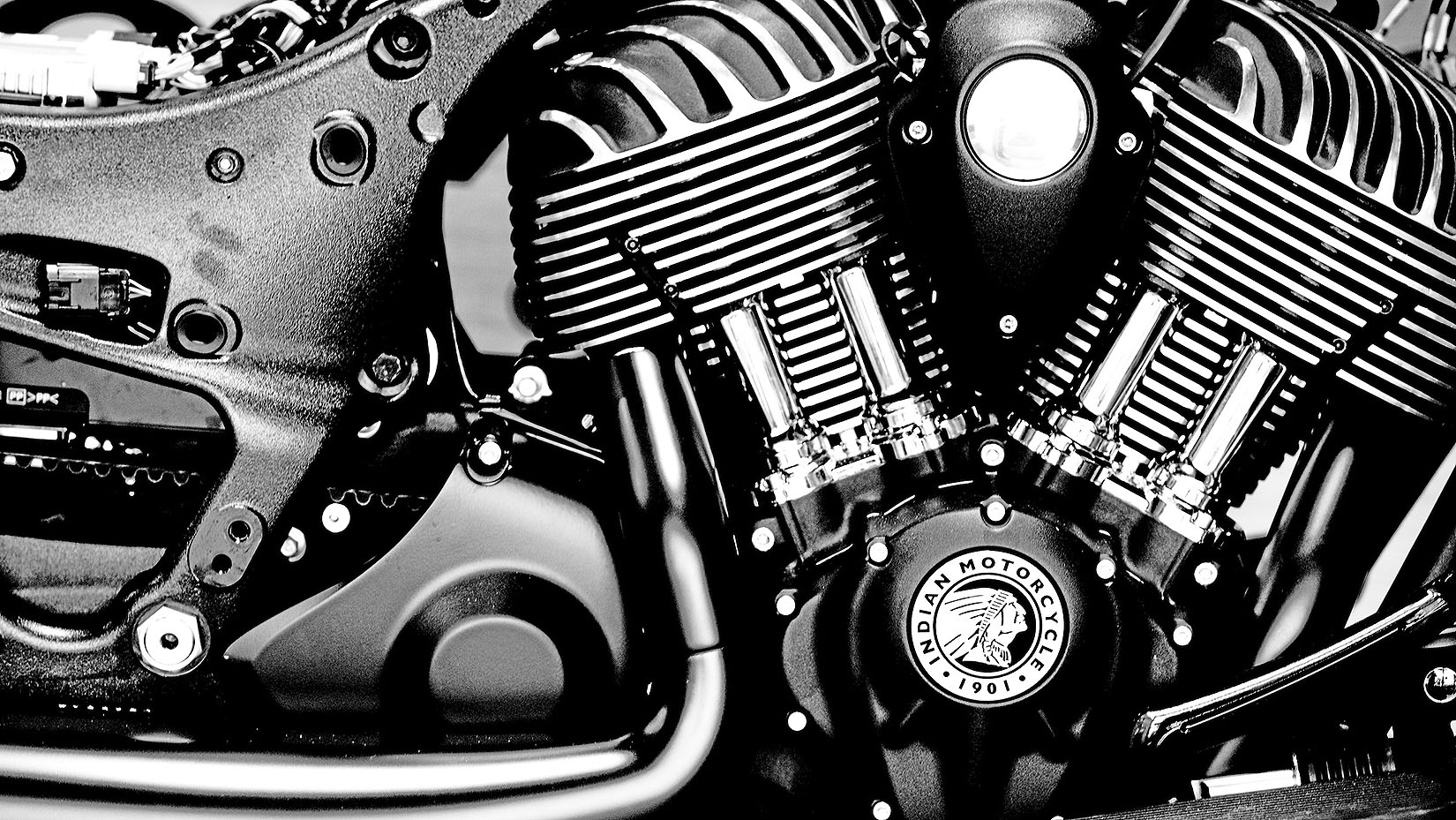 The Role of Photography in Advertising Casey Templeton