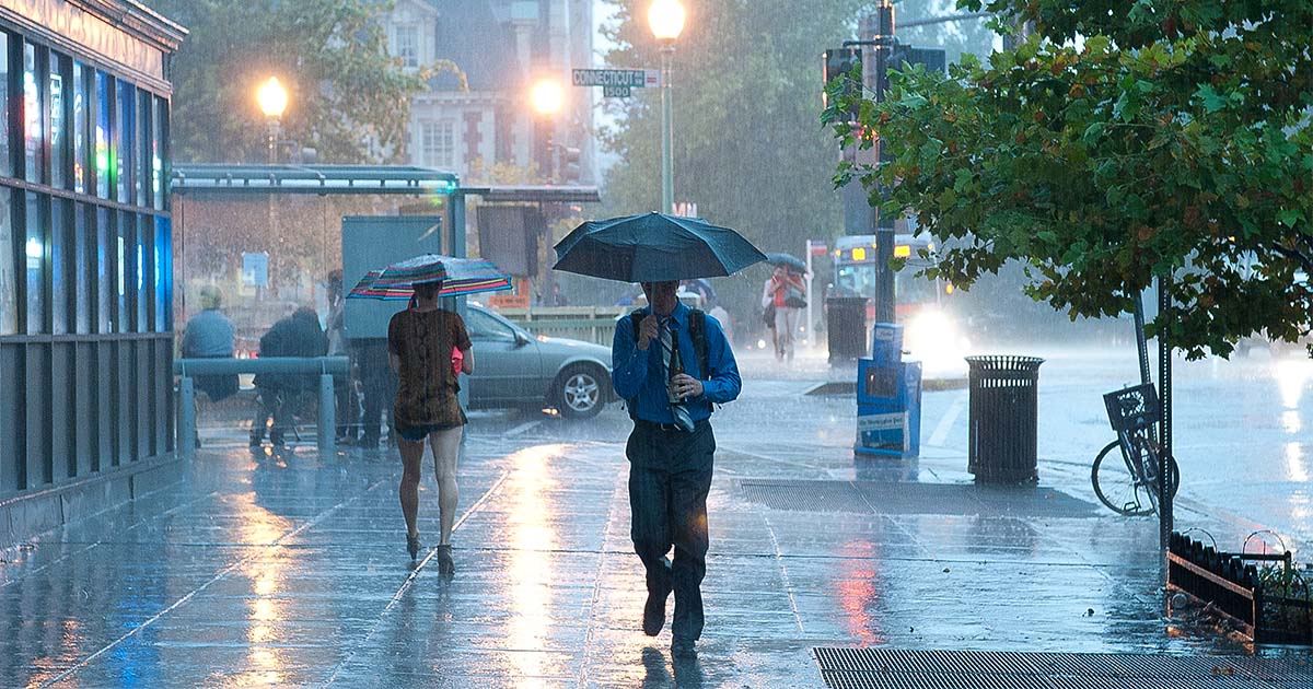 Buckets of Rain Casey Trees