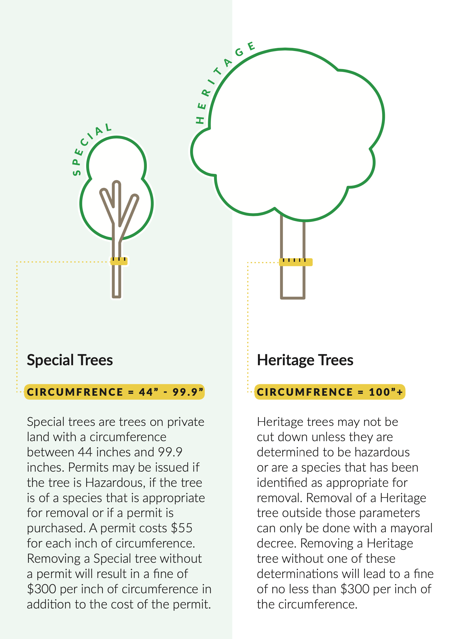 Heritage Tree Removal Casey Trees
