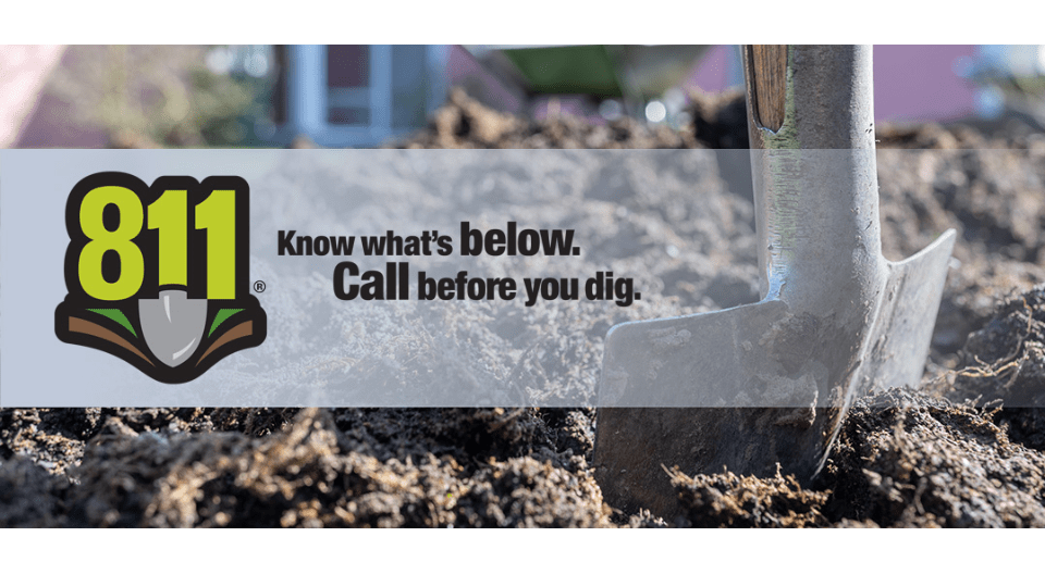 Mythbusting Trees and Utilities Casey Trees