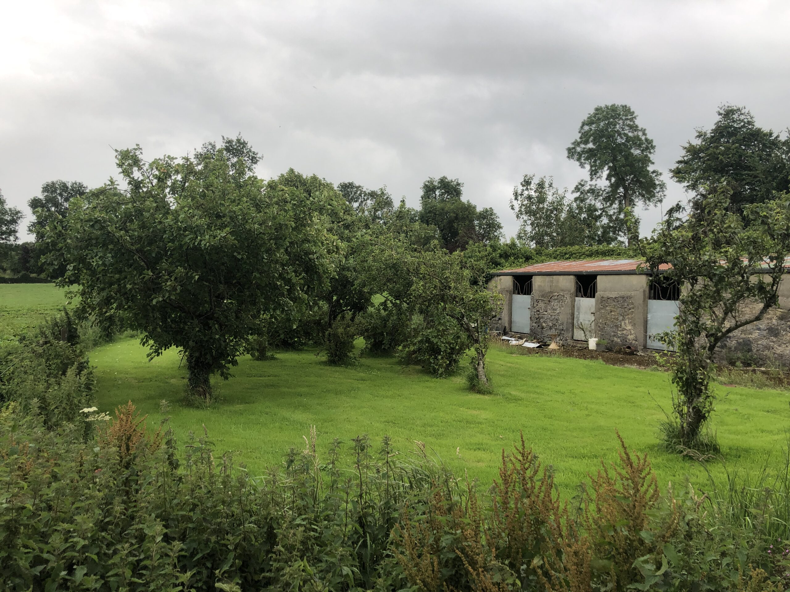 *Sale Agreed* C.120 Acre Residential Farm at Bawnmore, Cashel, Co