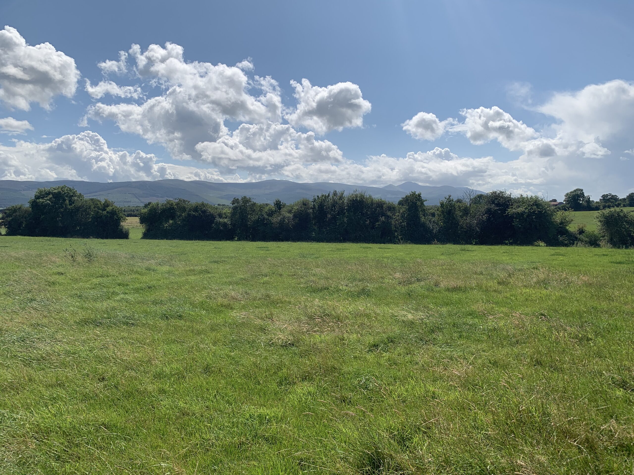 *SALE AGREED* C. 63 Acres at Lisgibbon, Golden, Co. Tipperary Cashel Mart