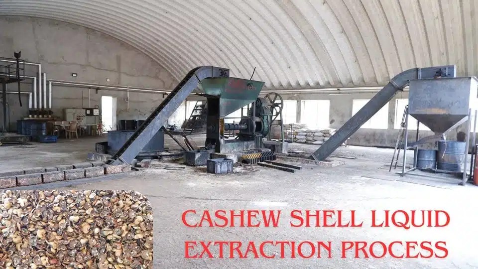 Cashew Shell Liquid Extraction Process