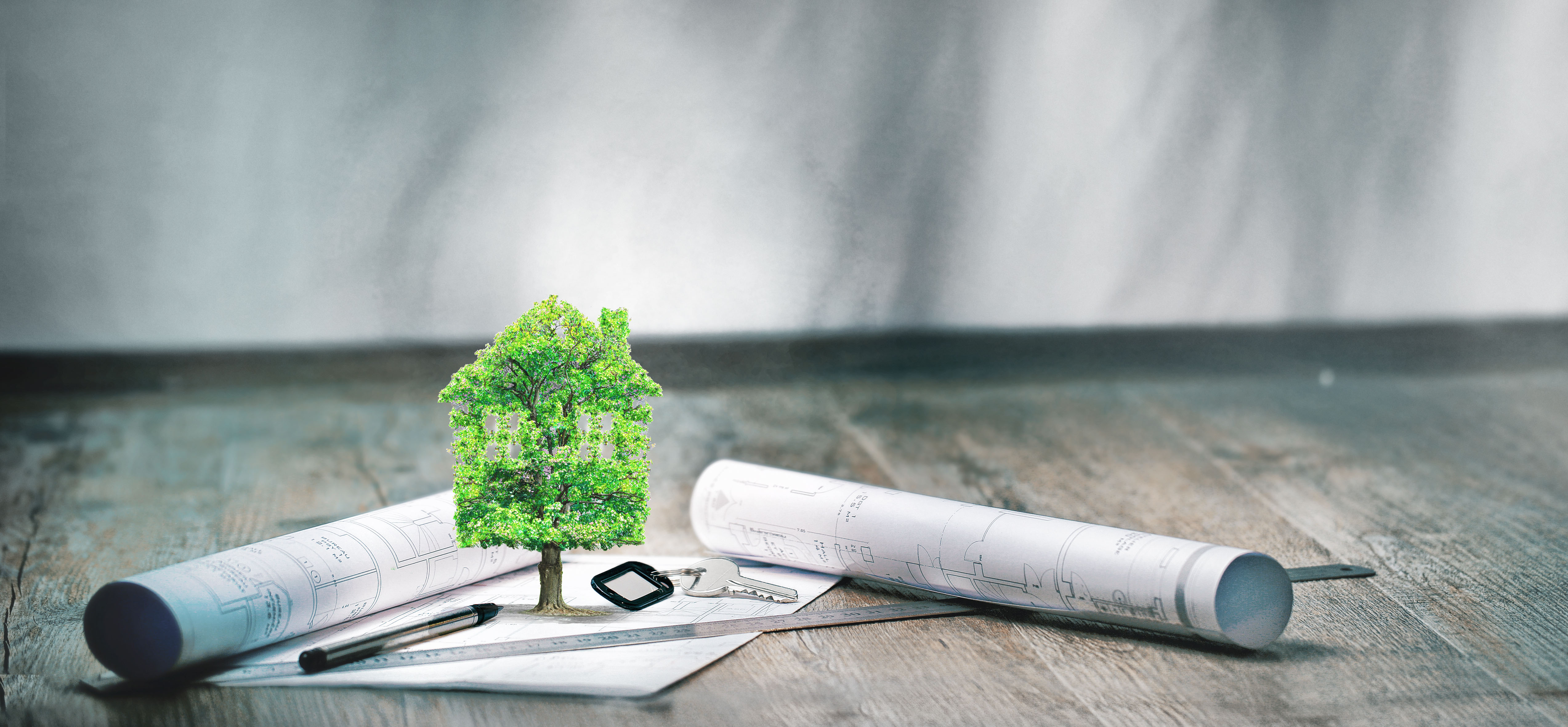 About Real Estate Casilio