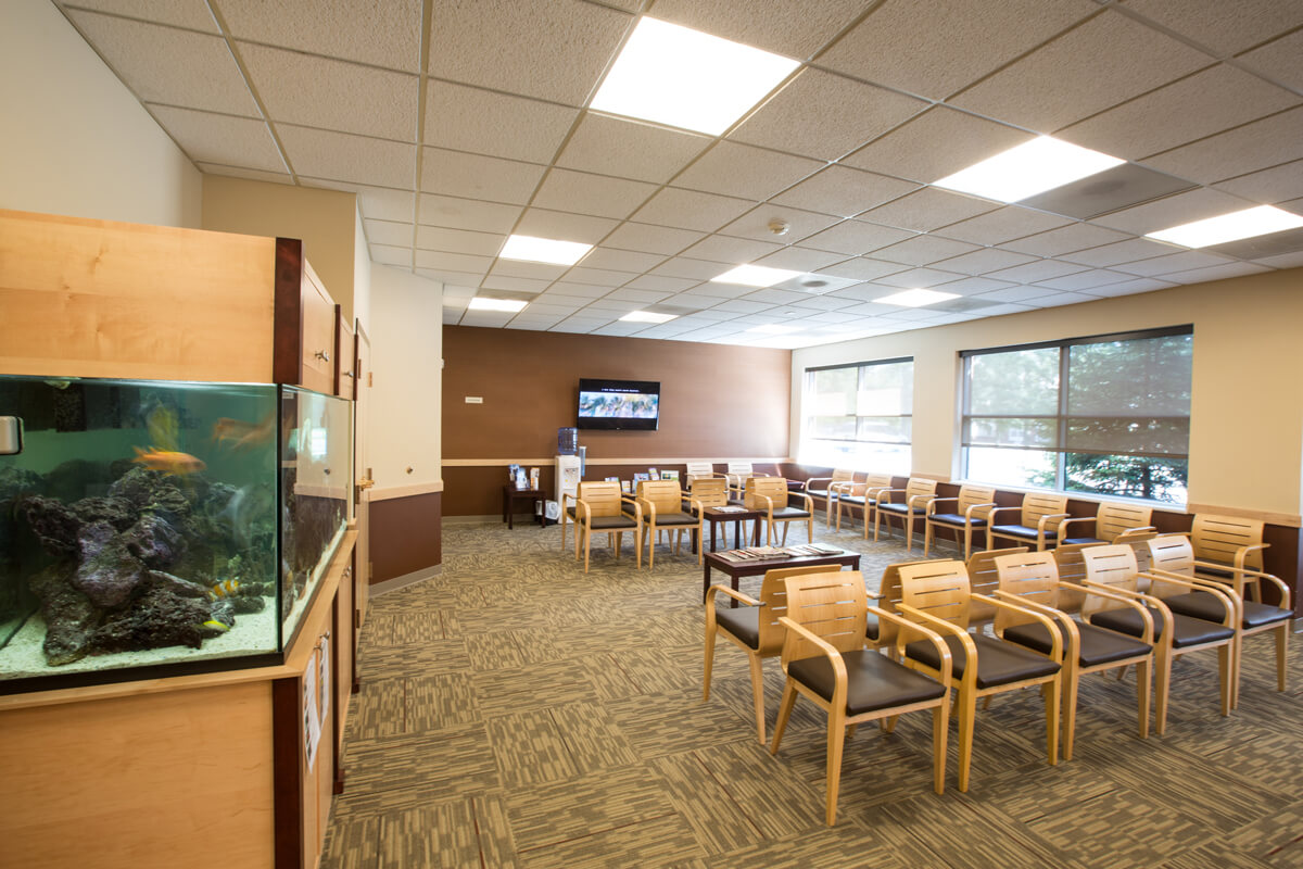 Ross Eye Institute of Orchard Park Casilio