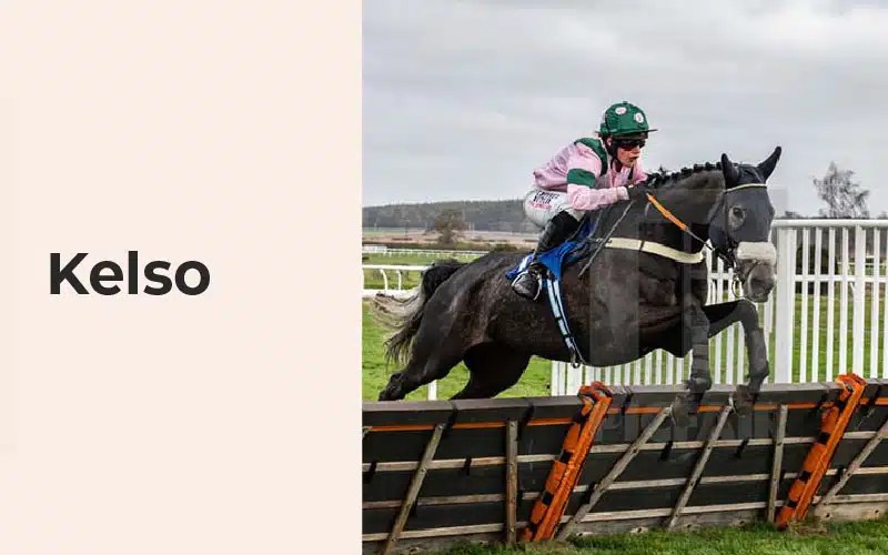 11 Famous Racehorses You Must Know