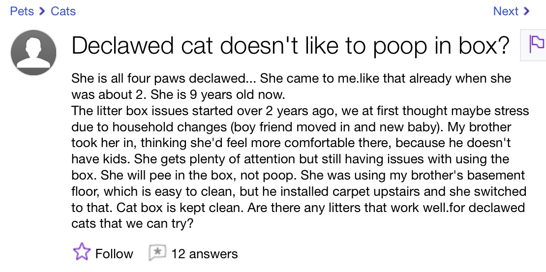 FourPaws Declawed Cat Does Not Poop In Litter Box Cassandra Cat