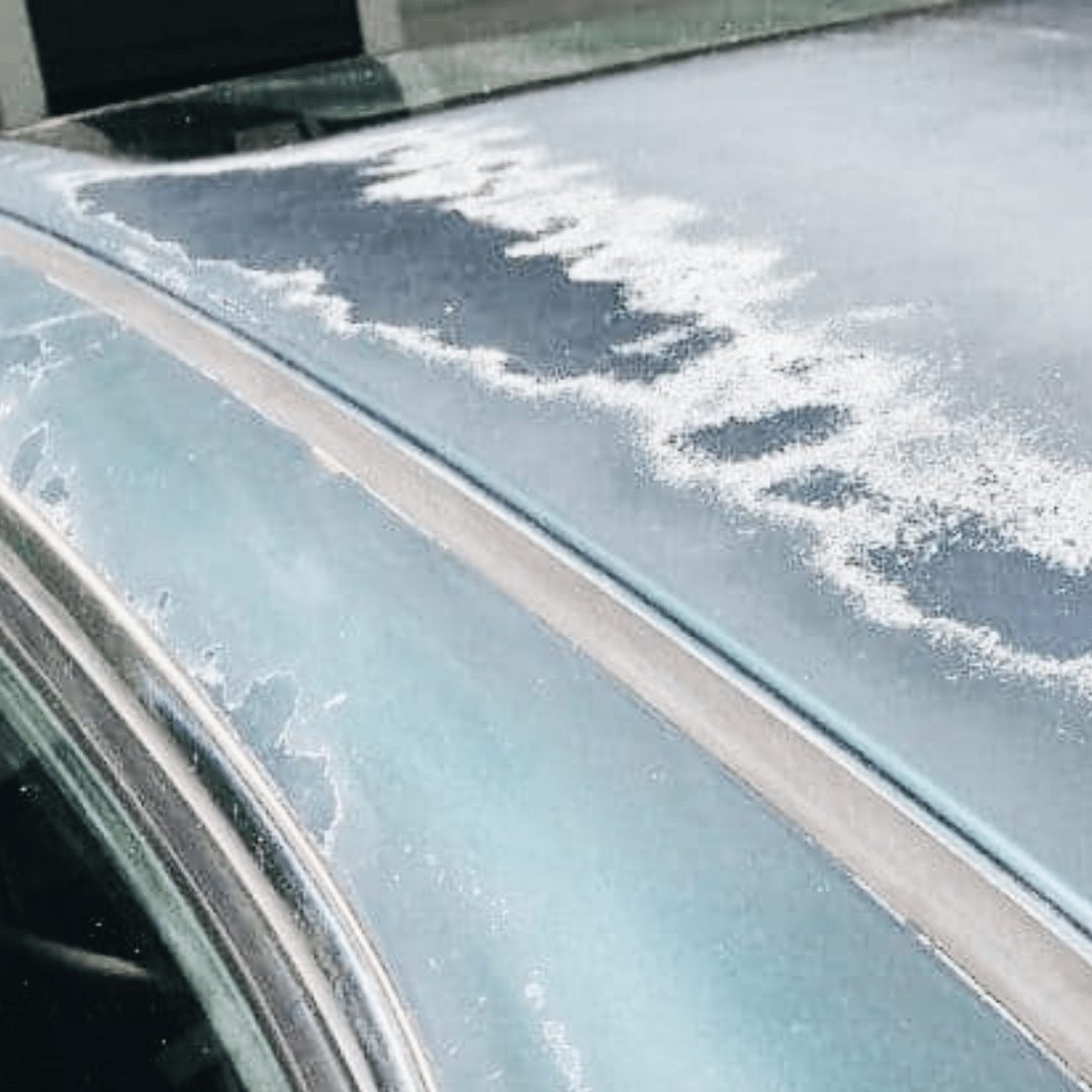 Can a Vehicle Wrap Damage Paint?