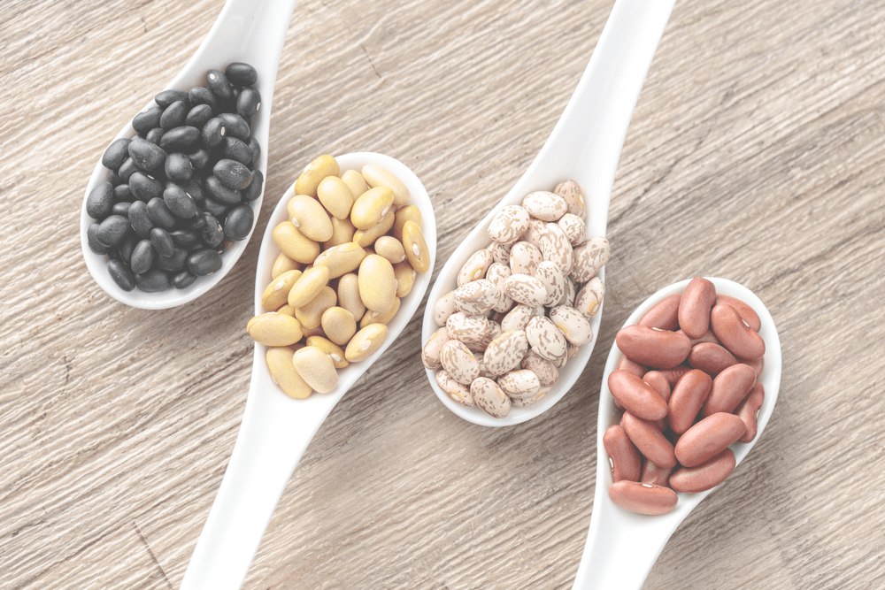 Casserole Bean Casserole Bean