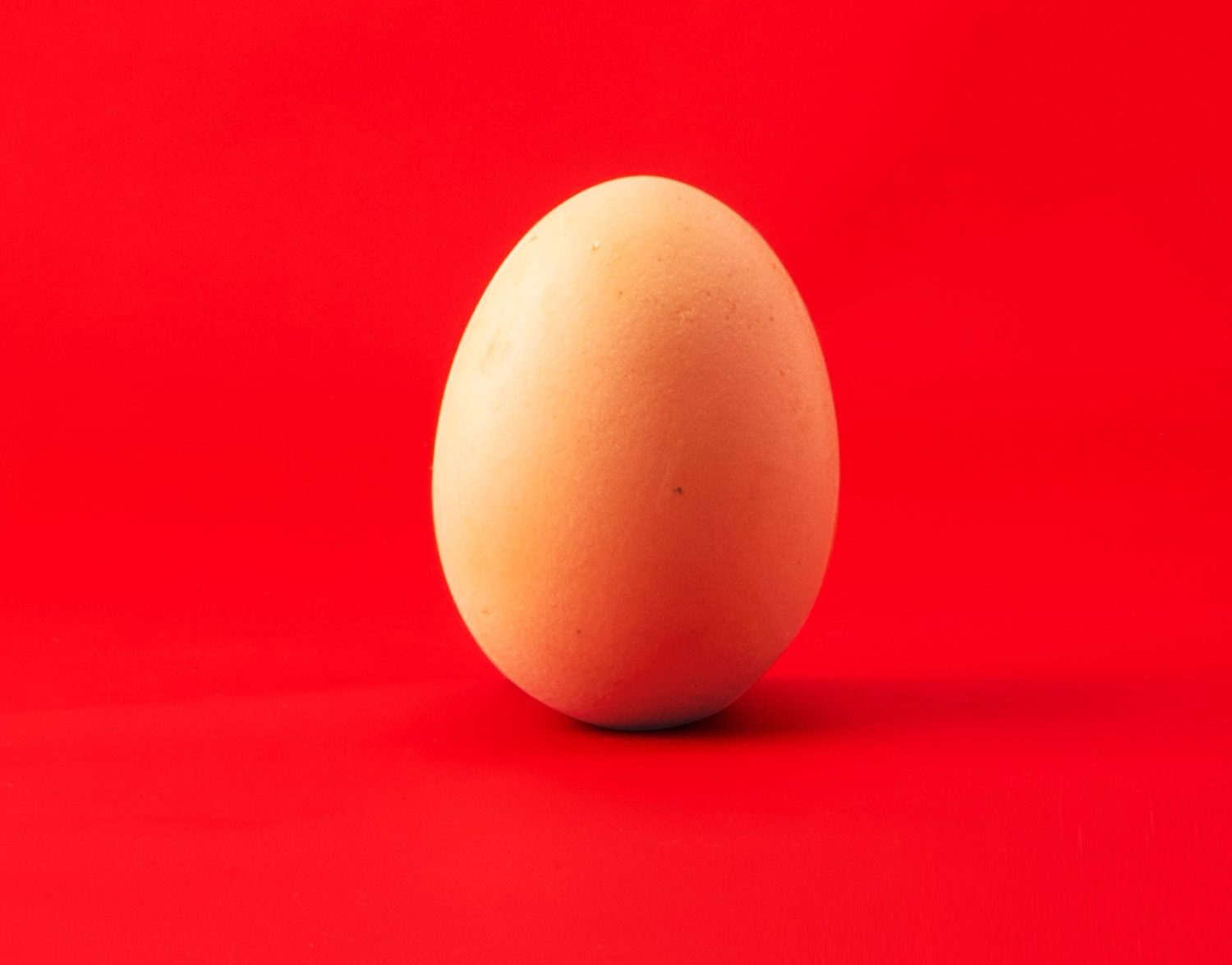 How do you improve your egg quality? Cassie Everett Homeopath