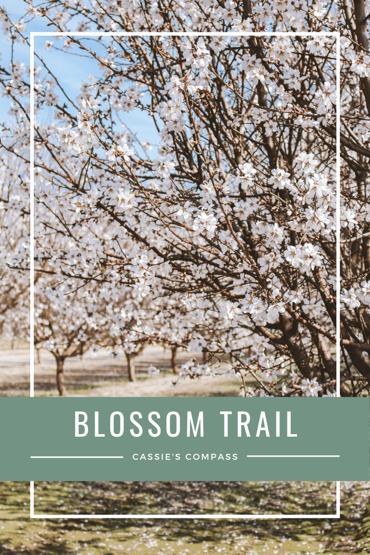 2024 Fresno Blossom Trail Guide [Map + Tips for Visiting]