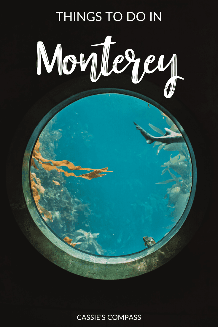 pinterest image for visiting the monterey bay aquarium