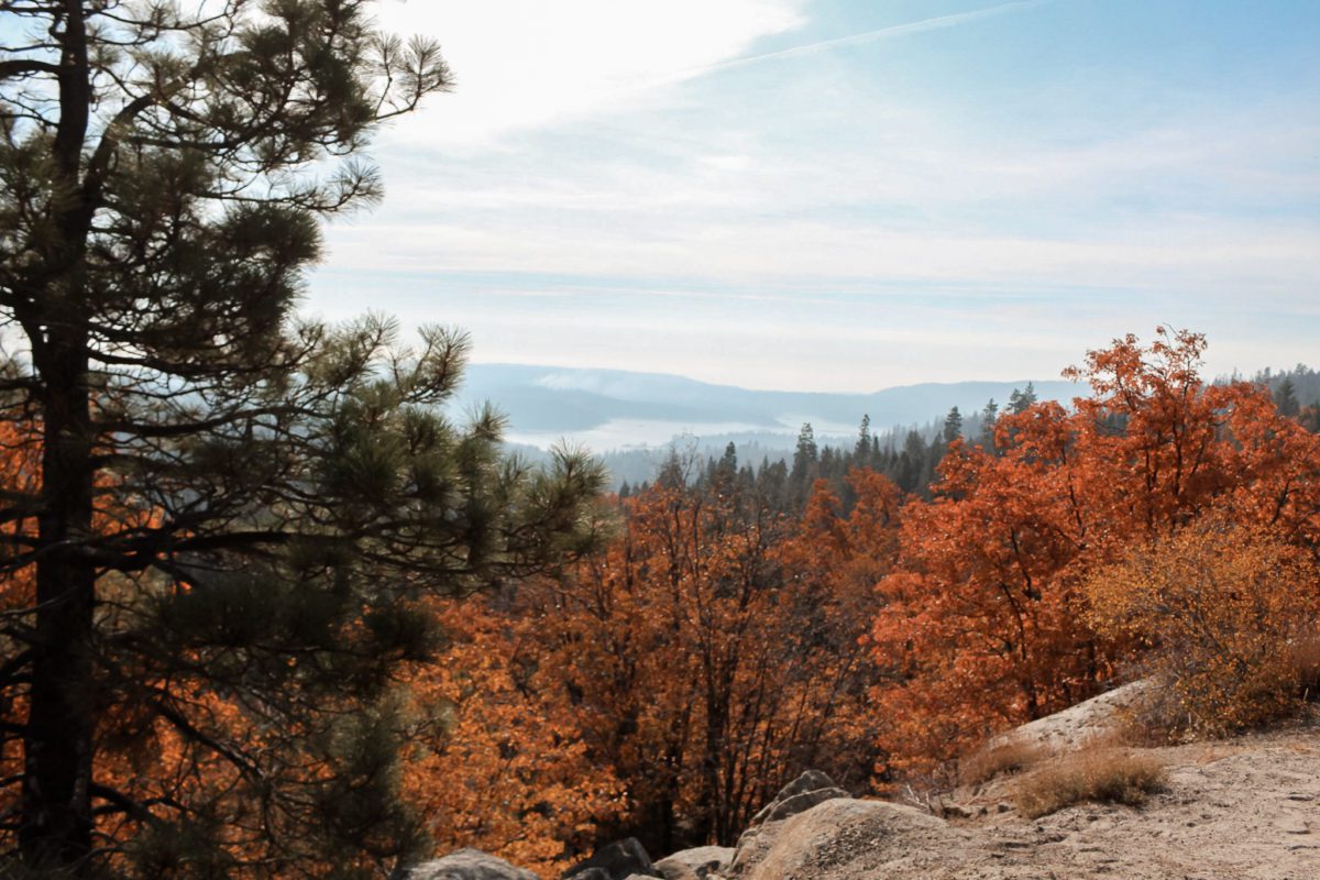 Shaver Lake in the fall