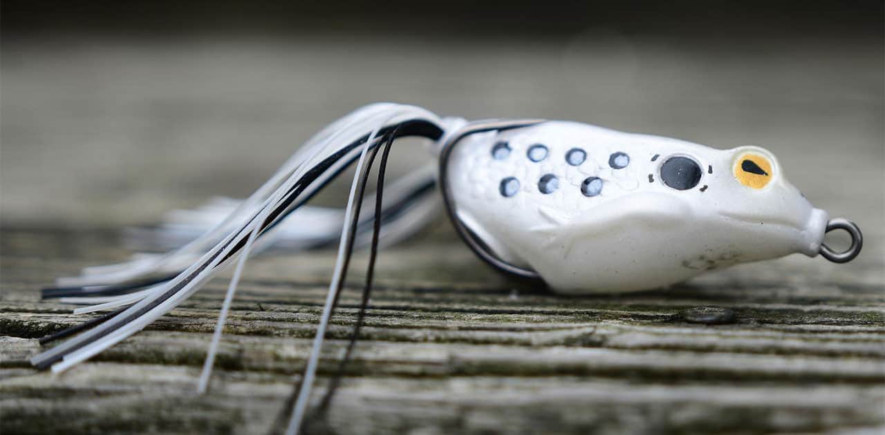 How to Bass Fish with a Topwater Frog Lure Castaic Fishing