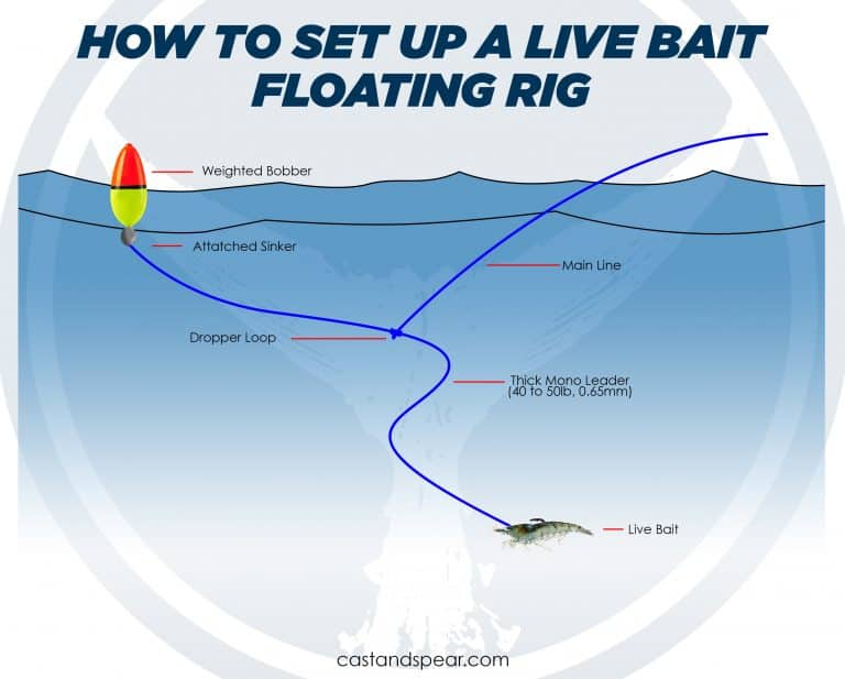 Pier Fishing Rigs That Work Best in California Waters