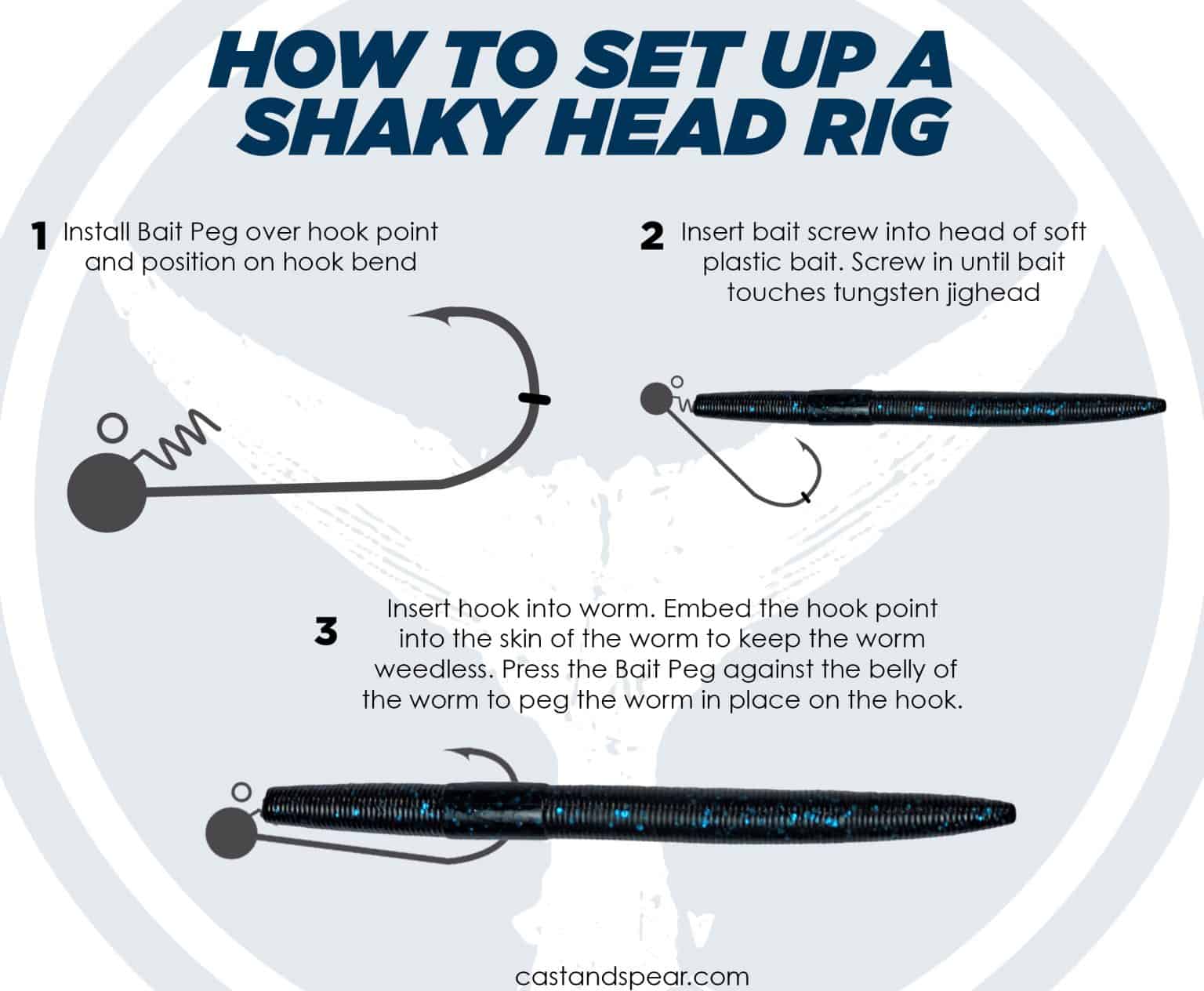5 Bass Fishing Rigs For Your Target Fish Cast & Spear