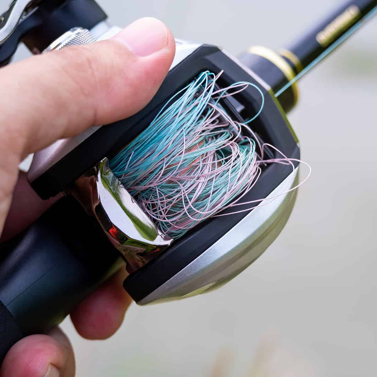 Best AntiBacklash Baitcast Reel (Our Top 5 Picks in 2023)
