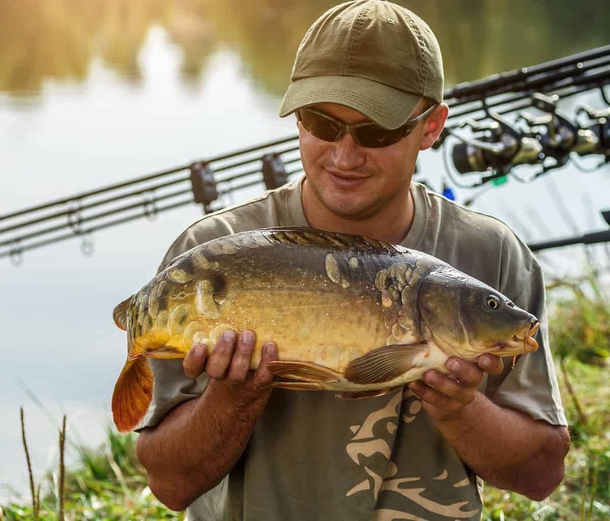 7 Popular Types of Carp A Comprehensive Guide for Anglers