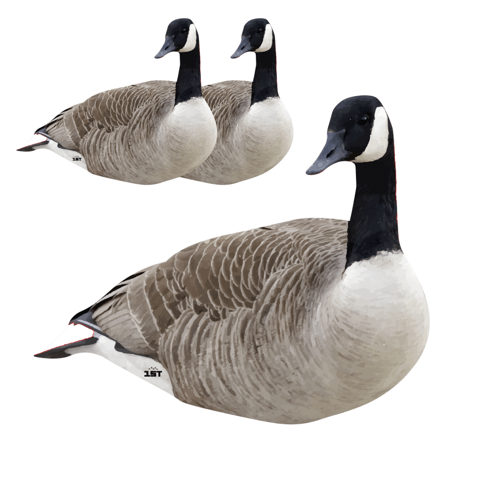 Canadian Goose Forward Face Silhouette Decoys 3 Pack Cast Cray Outdoors