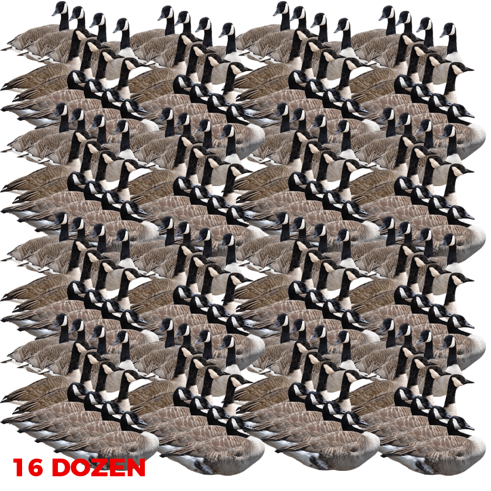 Canadian Goose Silhouette Decoys Pro Guide Pack 16 Dozen Cast
