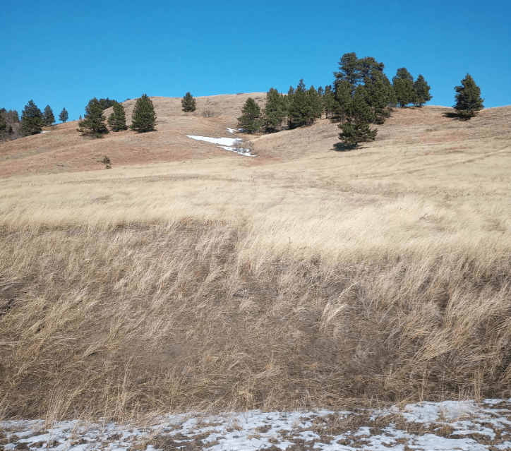 Residential and Commercial Real Estate Listings Casteel Auction