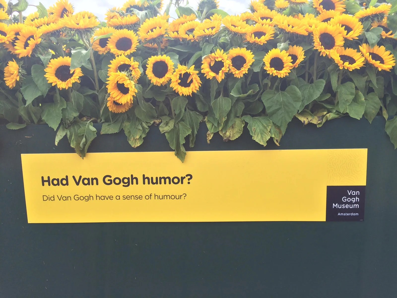 van gogh museum sunflower maze