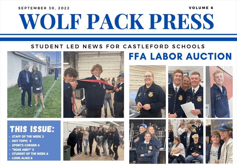 WPP 6 Castleford School District