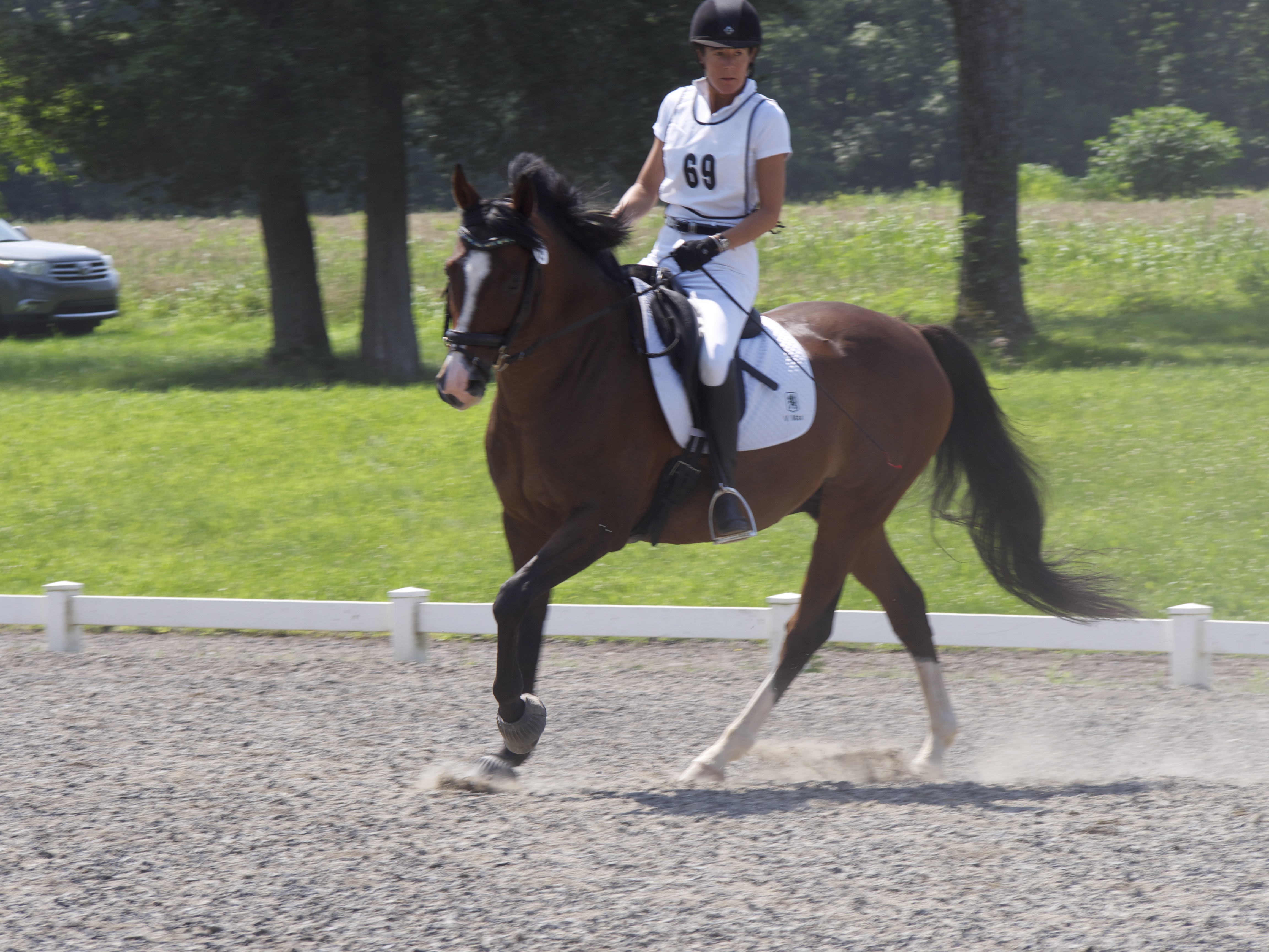 Serena Hill Castlegate Farm