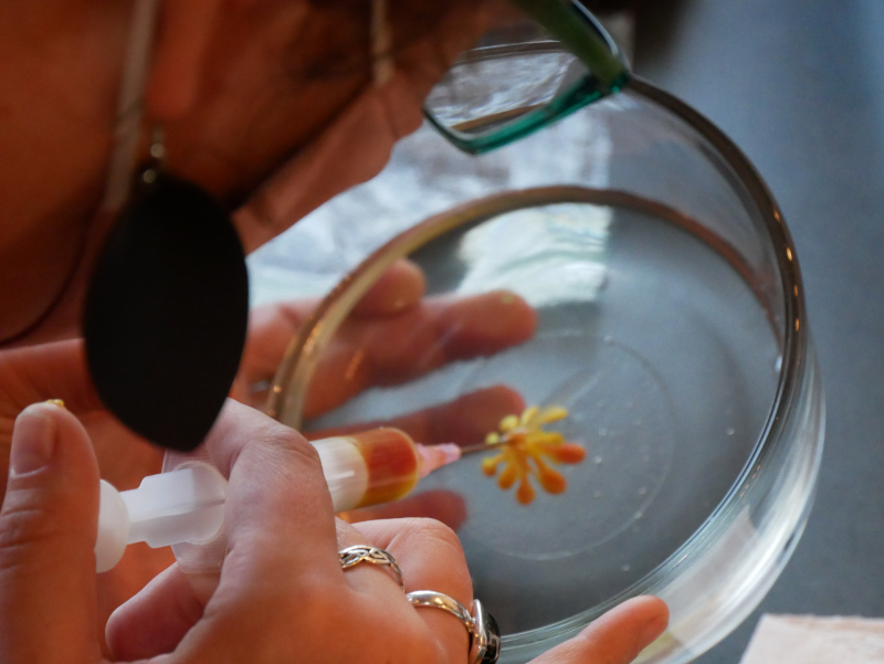 Edible Art In Gelatin Castlemakers