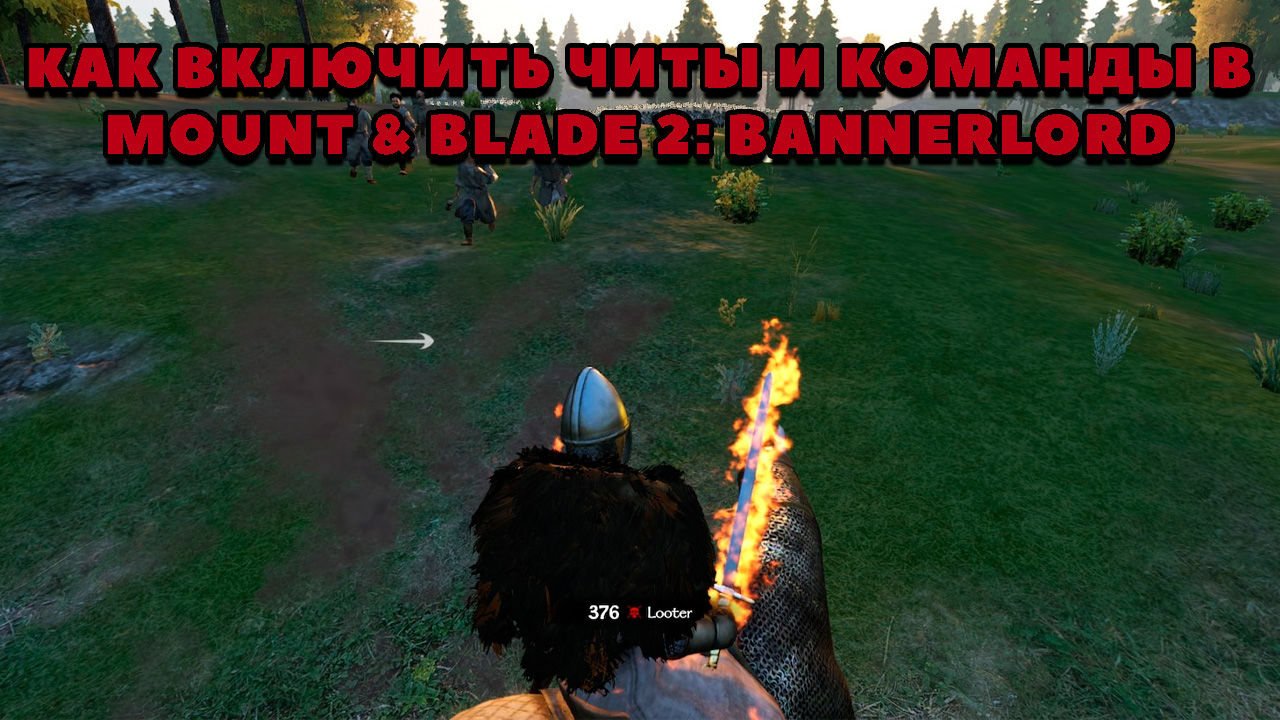 Mount and blade how to get vassals torodd