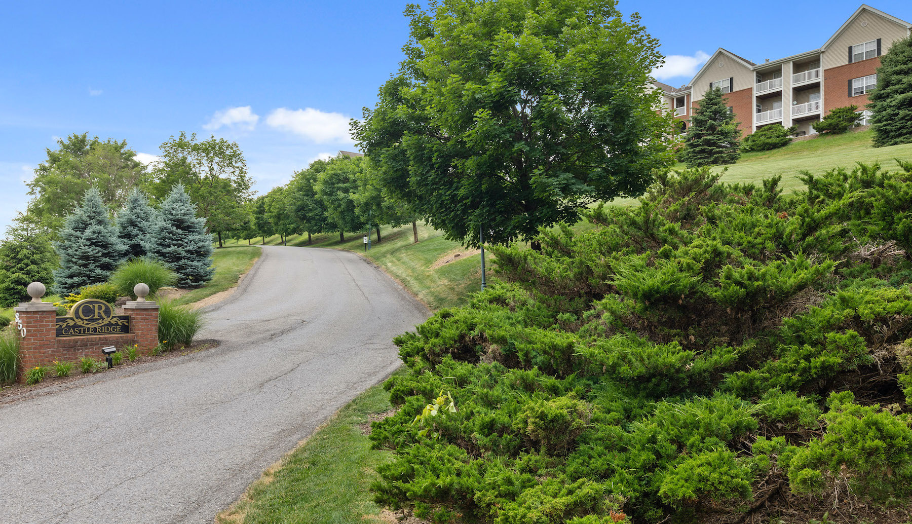 Castle Ridge Testimonials Castle Ridge