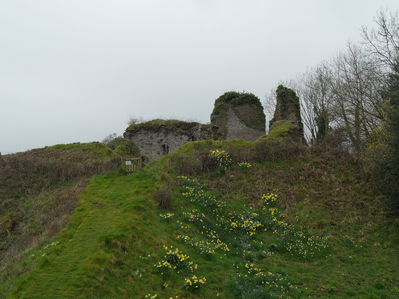 Clifford Castle Castle Studies Trust
