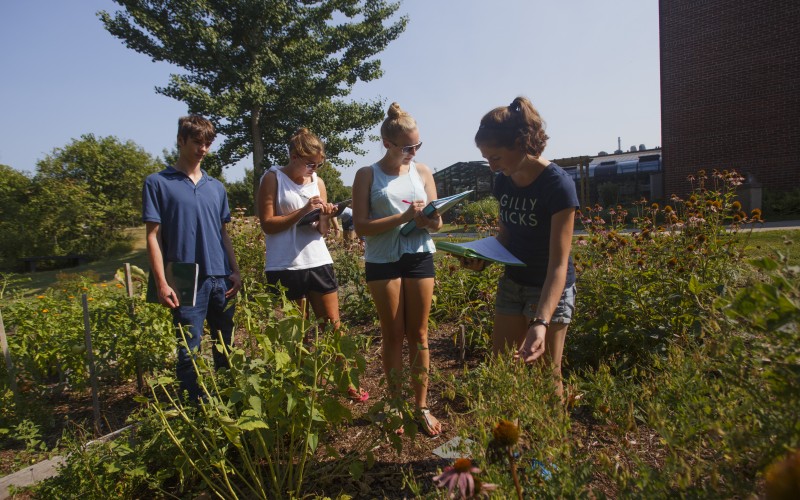 Castleton University Launches Three New Bachelor’s Degree Programs