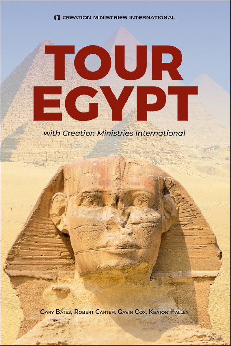 Tour Egypt