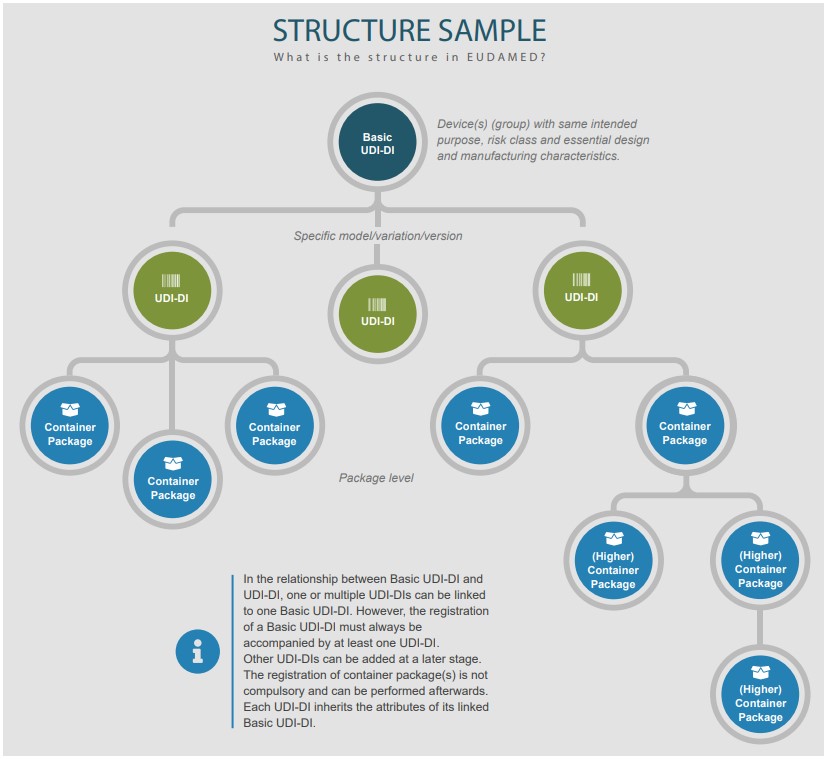 2024 EU Guide: MDR/IVDR Basic UDI-DI - Casus Consulting