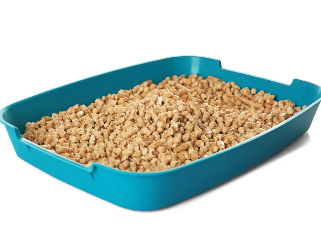 Can You Use Cat Litter For Rabbits? The Best Litter To Use Cat Bytes