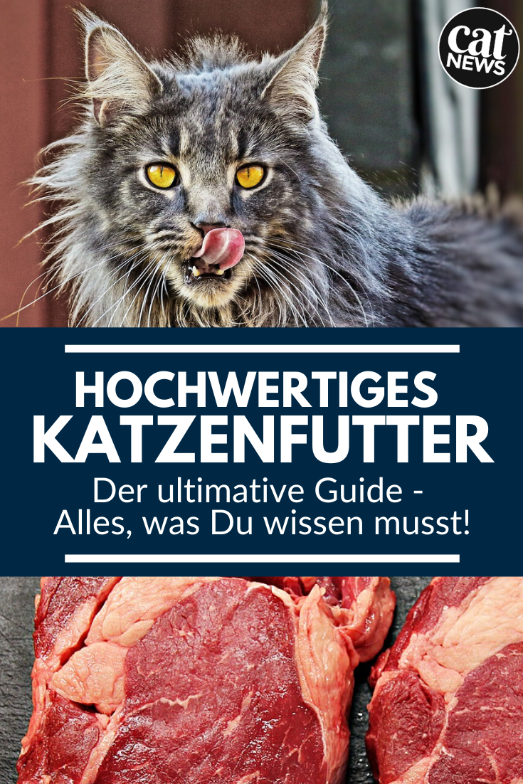 Hochwertiges Katzenfutter Der ultimative Guide, alles was