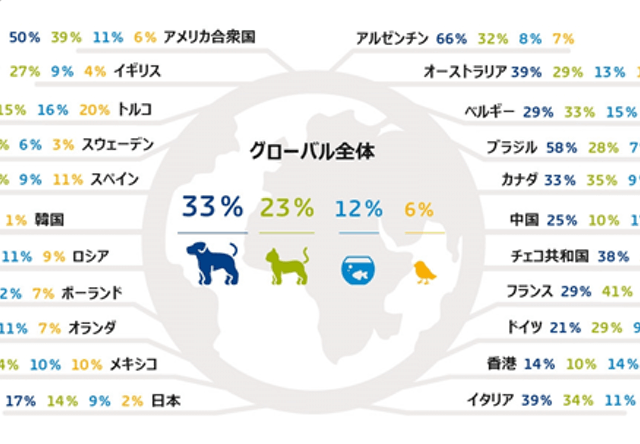 猫の飼育に関するアンケート結果をアイペット損保が公表 Cat Press